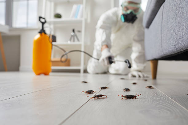 Commercial Kitchen Cockroach Control in Kewanee